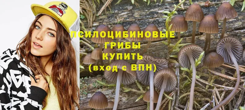 Псилоцибиновые грибы Cubensis  где продают наркотики  MEGA ТОР  Биробиджан 